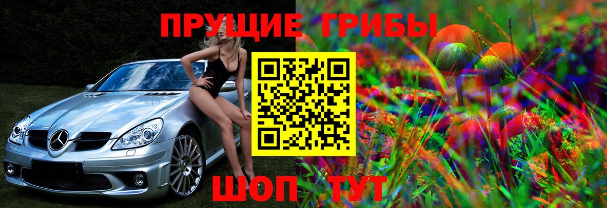 Саранск  Псилоцибиновые грибы Magic Shrooms  Вход с VPN 