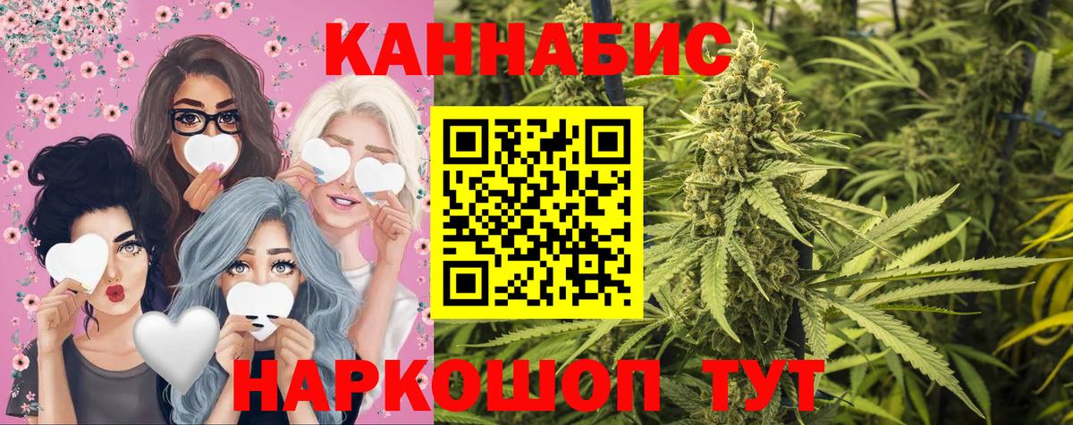 МАРИХУАНА конопля Саранск